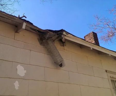Attic Kings, Animal Removal & Exclusion