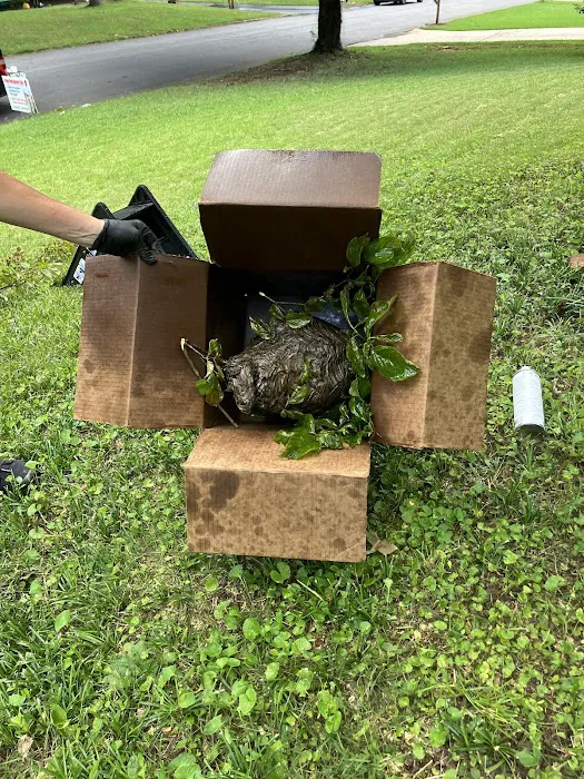 Northwest Exterminating - Tucker Picture 6