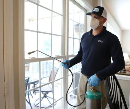 Arete Pest Control