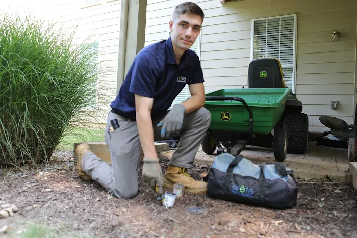 Arete Pest Control Picture 7