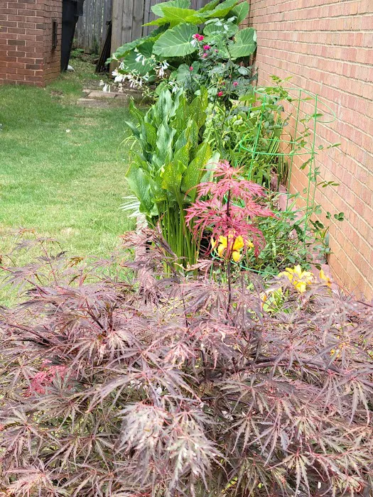 Massey Services Pest Control Picture 2