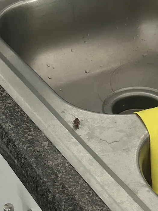 Massey Services Pest Control Picture 1