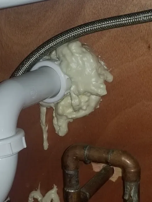 Corsello & Sons Pest Control Picture 1