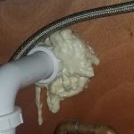 Corsello & Sons Pest Control