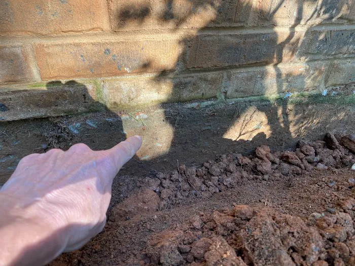 Corsello & Sons Pest Control Picture 9