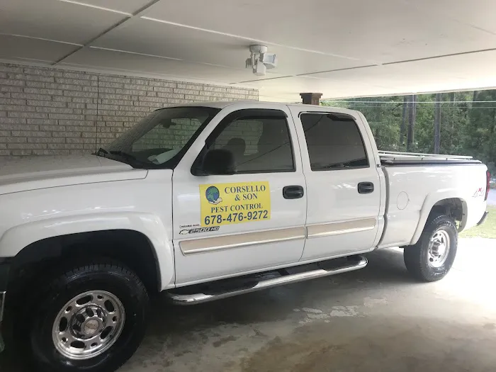 Corsello & Sons Pest Control Picture 4