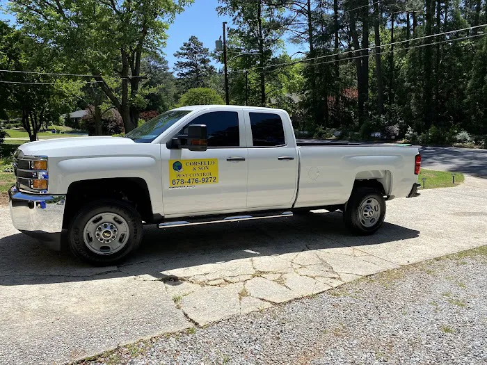 Corsello & Sons Pest Control Picture 6