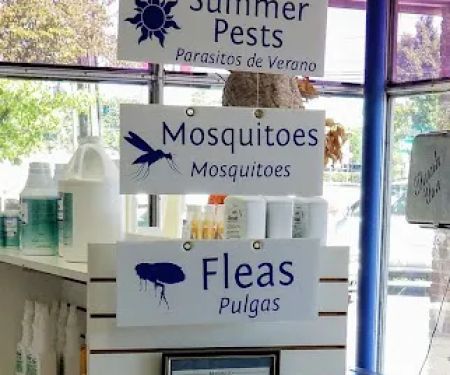 Do It Yourself Pest Control