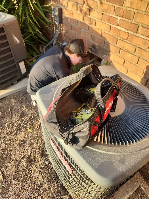 Nextgen Pest, Wildlife & Bed Bug Solutions Picture 3