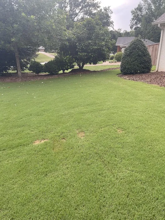 EcoShield Pest Solutions Picture 10