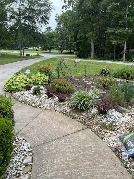 Brooks Pest Solutions Picture 7