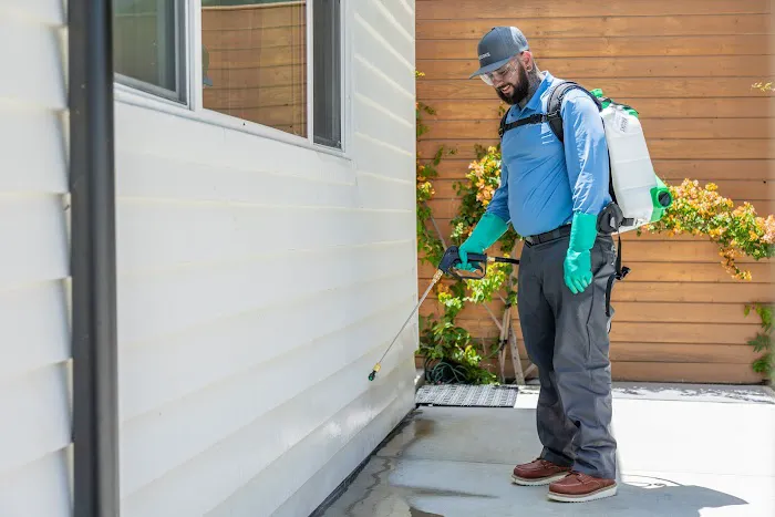 Brooks Pest Solutions Picture 8