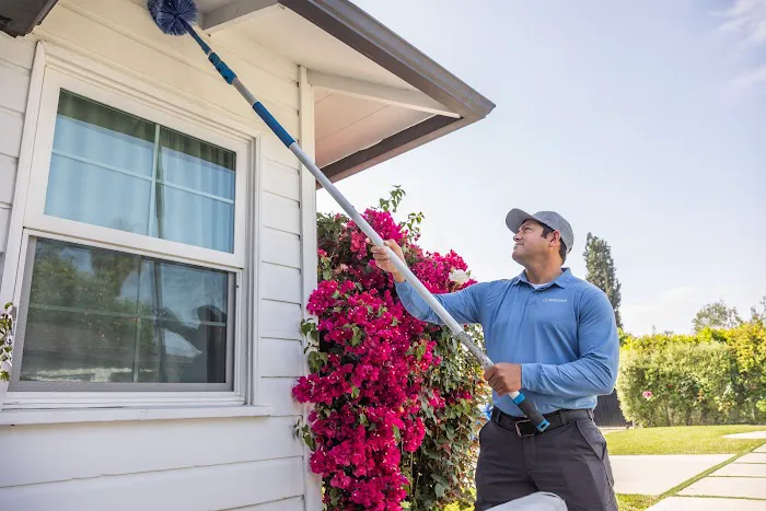 Brooks Pest Solutions Picture 6