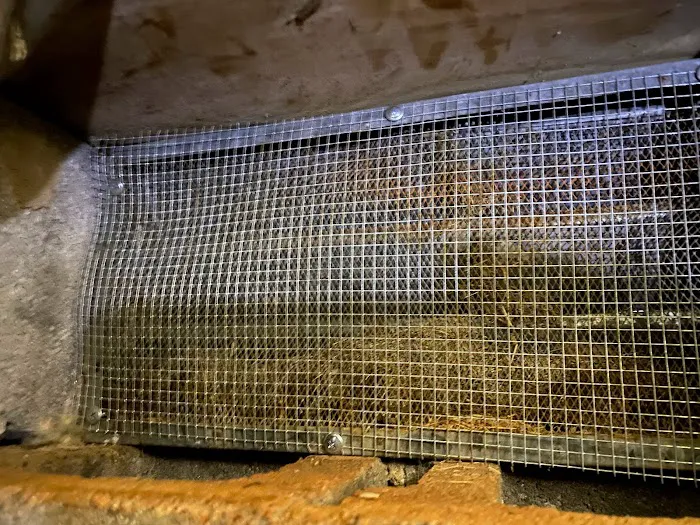 Pete's Pest Patrol Picture 8