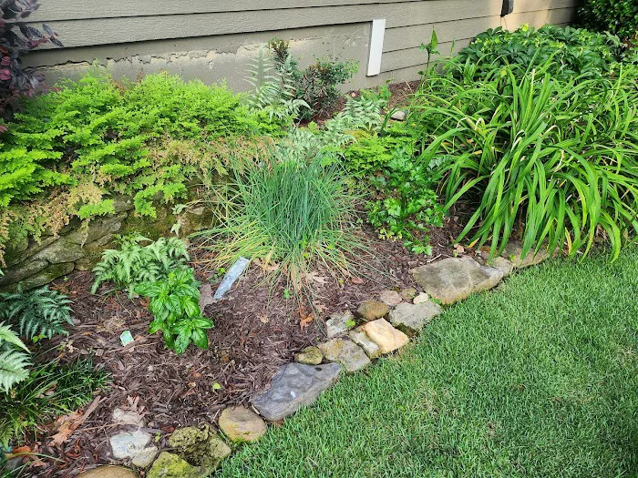 Peachtree Pest Control Picture 3