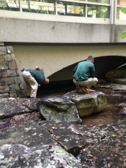 Peachtree Pest Control Picture 5