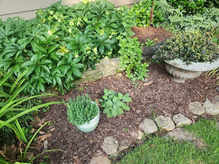 Peachtree Pest Control Picture 1
