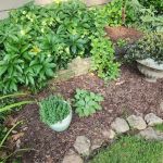 Peachtree Pest Control