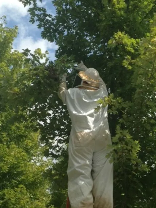 Peachtree Pest Control Picture 9