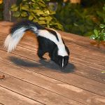 Aiken Pest Control, Inc.