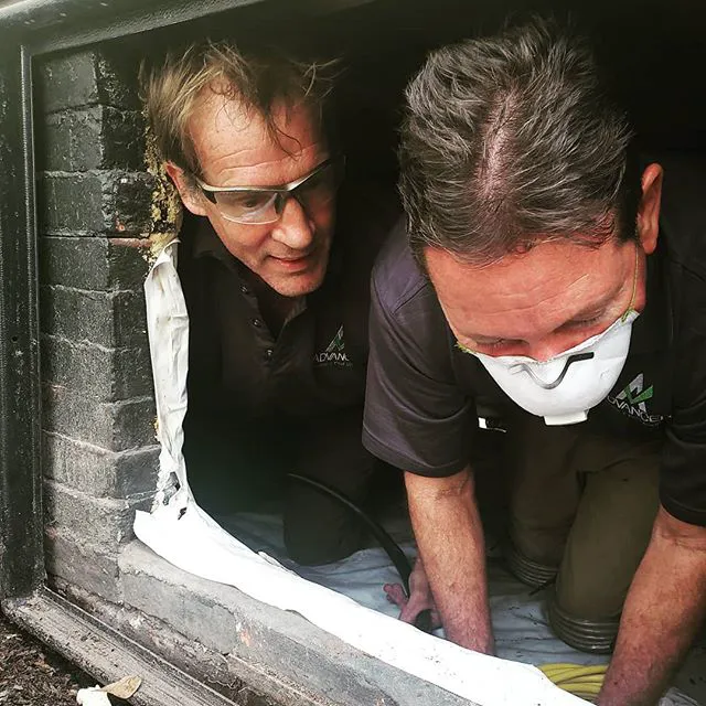 Lookout Pest Control Picture 10