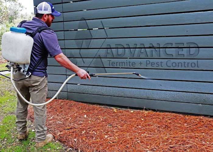 Lookout Pest Control Picture 5