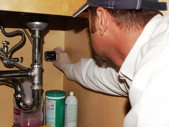 Truly Nolen Pest & Termite Control Picture 6