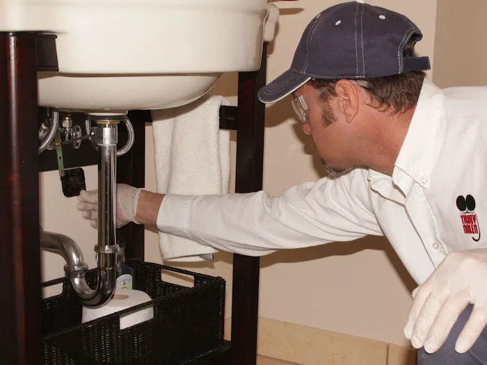 Truly Nolen Pest & Termite Control Picture 2