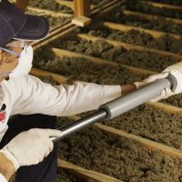 Truly Nolen Pest & Termite Control ico
