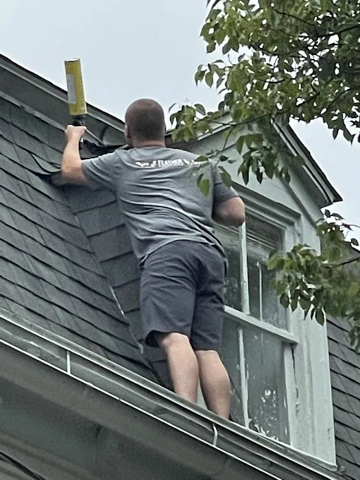 Feather Fighters Wildlife Removal Picture 7