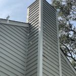 Feather Fighters Wildlife Removal