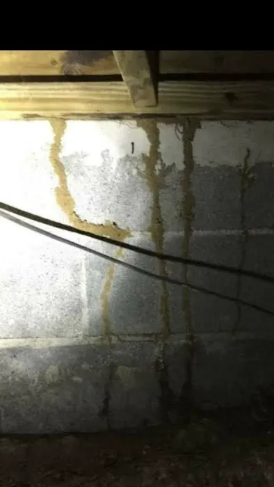 Cohen Pest Solutions LLC Picture 3