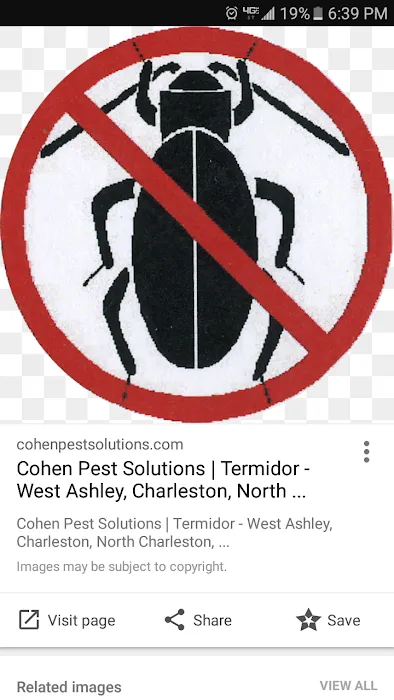 Cohen Pest Solutions LLC Picture 4