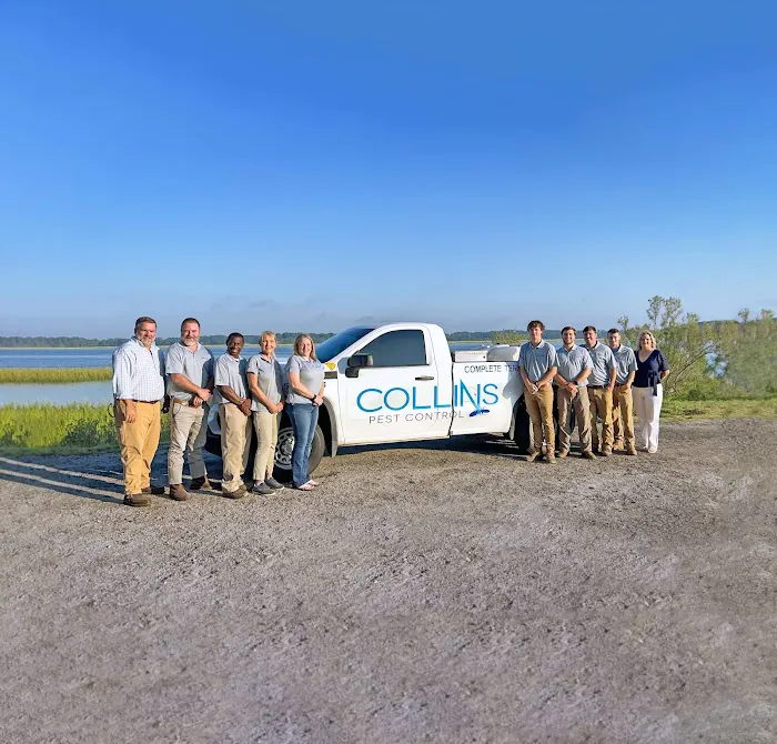 Collins Pest Control Picture 1
