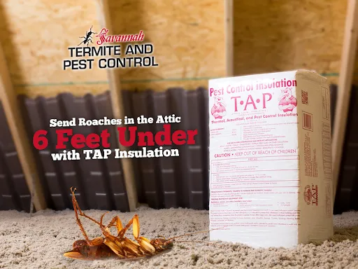 Savannah Termite and Pest Control Picture 1