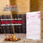 Savannah Termite and Pest Control