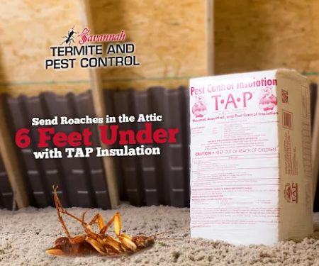 Savannah Termite and Pest Control