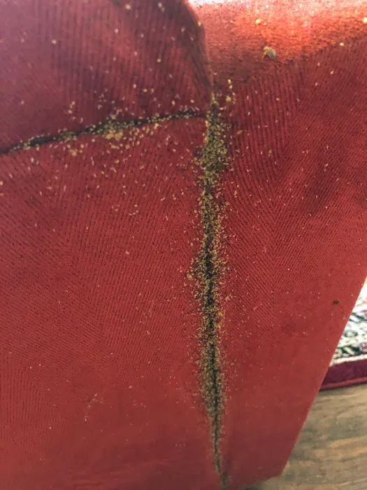 Savannah Termite and Pest Control Picture 4