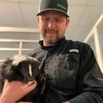 Bee Green Pest Solutions