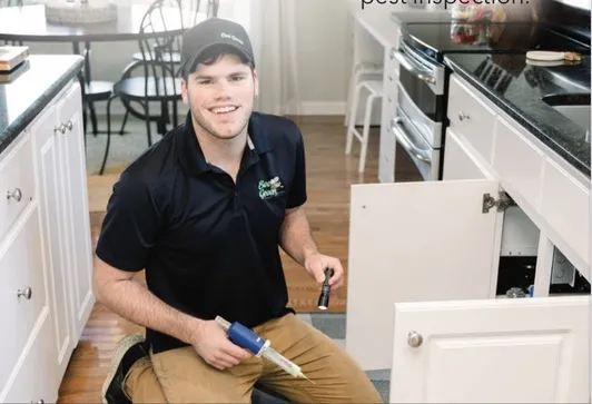 Bee Green Pest Solutions Picture 4
