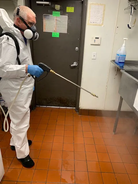Bug Guy Pest Control Picture 1
