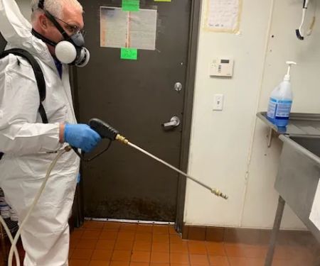 Bug Guy Pest Control