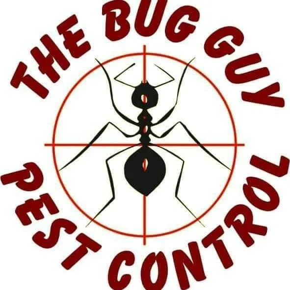 Bug Guy Pest Control Picture 2