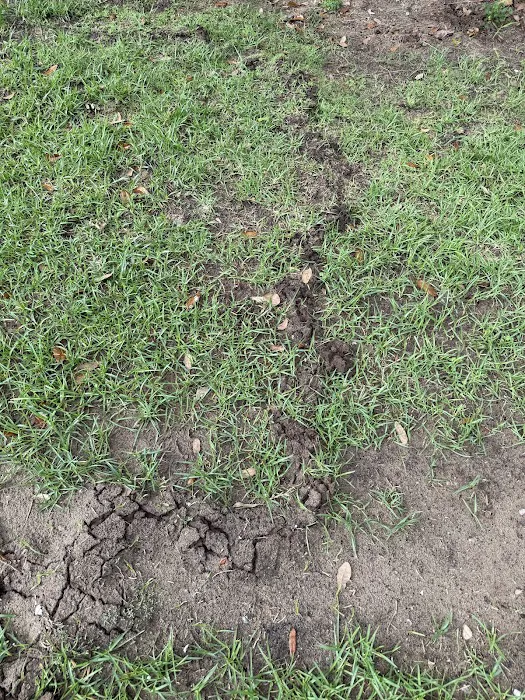 McLeod Mole Solutions LLC Picture 4