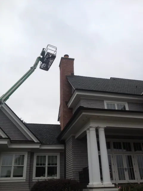 Atlantic Pest and Termite Management, Inc. Picture 3