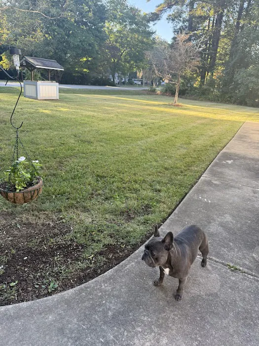 Sparta Lawn Care Picture 9