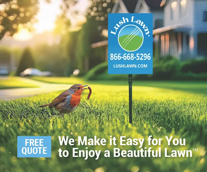 Lush Lawn Saginaw Picture 3