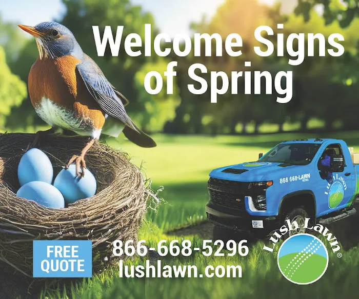 Lush Lawn Saginaw Picture 8