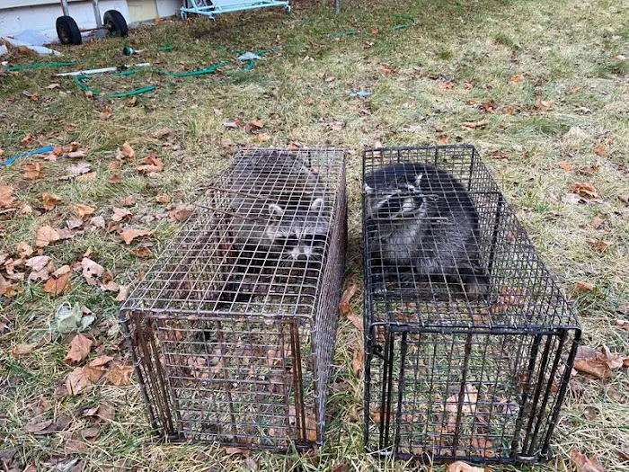 Warrior Pest Solutions, LLC Picture 2
