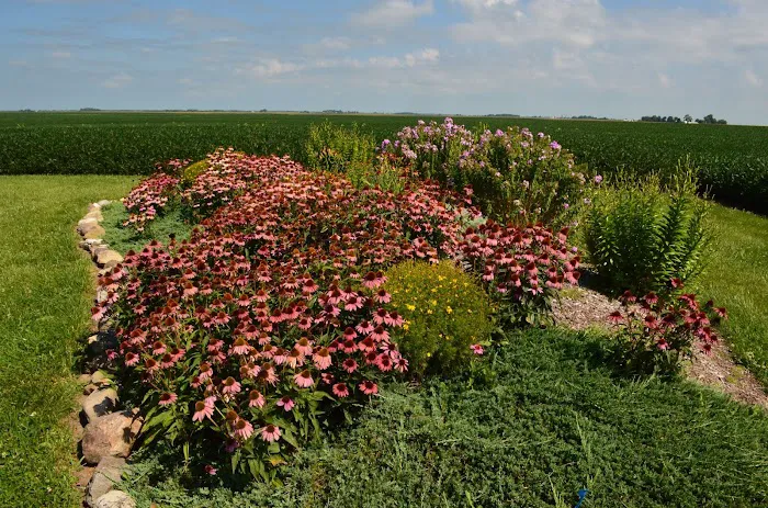 Merrill Landscape Services Picture 2